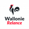 Wallonie relance